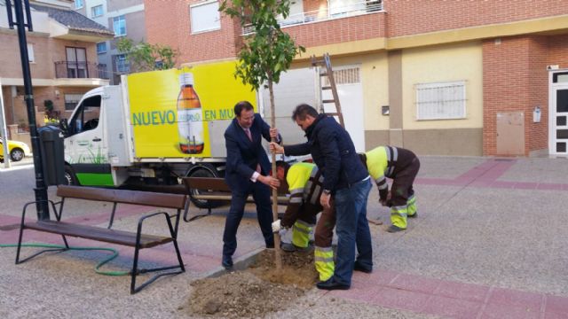 El Ayuntamiento cuida a diario más de 3.000 jardines y alineaciones de arbolado en Murcia y pedanías