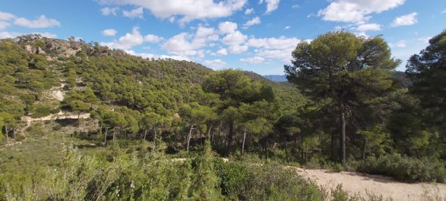Denuncian ante Fiscalía una posible prevaricación por desproteger Sierra Espuña