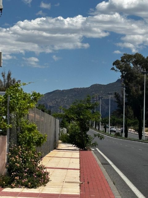 El PSOE exige al PP que limpie y mantenga las Costeras Norte y Sur para garantizar la seguridad de viandantes y conductores