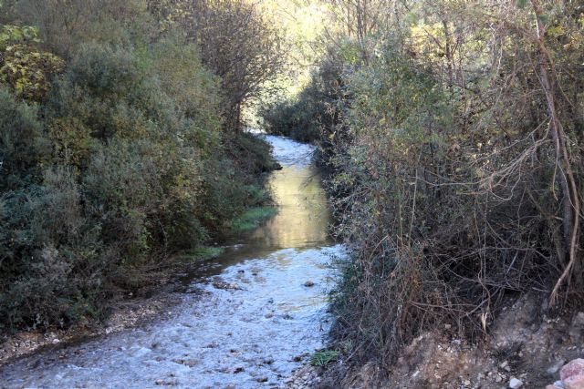 La CHS impulsa la caracterización de las masas de agua superficiales y el seguimiento de los caudales ecológicos en la cuenca del Segura