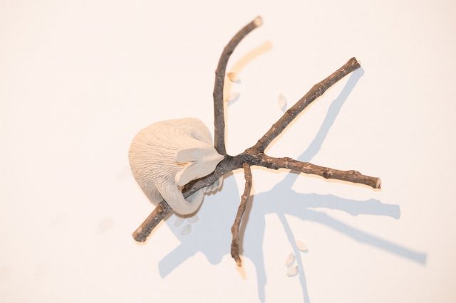 Literatura maravillosa con Grassa Toro en Puertas de Castilla