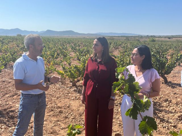 La Comunidad concede más de 775.000 euros a 300 viticultores que han reducido sus ingresos por la producción