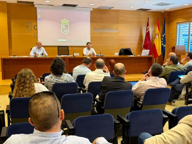 Agricultura activa un plan con 700 prospecciones para contener el virus de la clorosis nervial amarilla de los cítricos