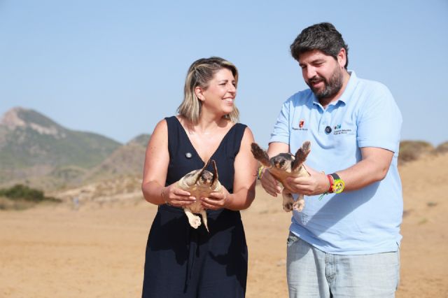 Casi 300 tortugas bobas han sido liberadas en la costa de la Región de Murcia desde 2019