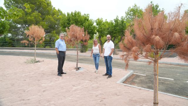 El modelo ambiental del PP en el Majal Blanco: cemento, asfalto y árboles secos