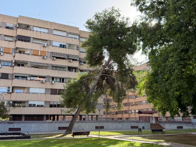 El PSOE exige un plan urgente de revisión del arbolado y la licitación inmediata del contrato de mantenimiento de jardines