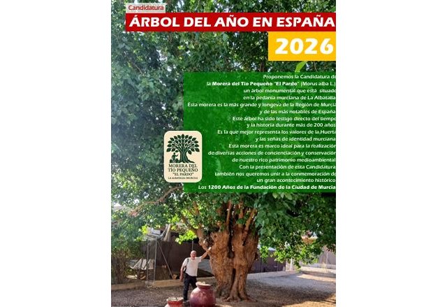Murcia postula al 'Abuelo de la Huerta' como árbol del año en España 2026