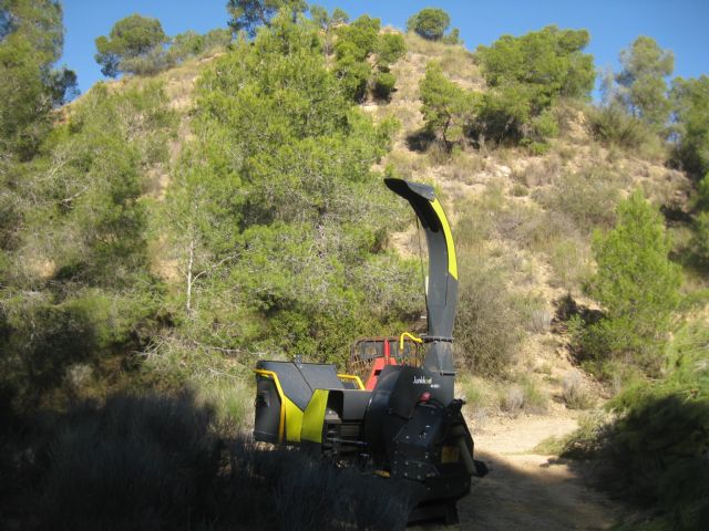 El proyecto de selvicultura del Majal Blanco permitirá evitar incendios forestales y conservar la biodiversidad del parque