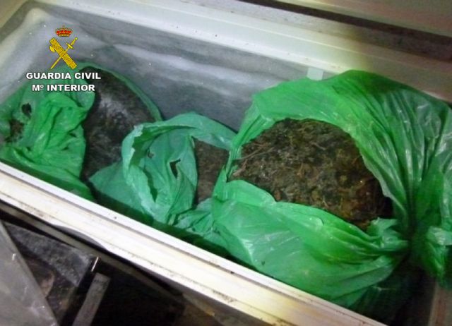 La Guardia Civil desarticula en Murcia un grupo delictivo dedicado al cultivo ilícito de marihuana