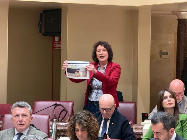 Podemos-IU-AV exige la dimisión de López Miras por situar a la Región de Murcia a la cabeza de la pobreza infantil en Espa&ntilde;a