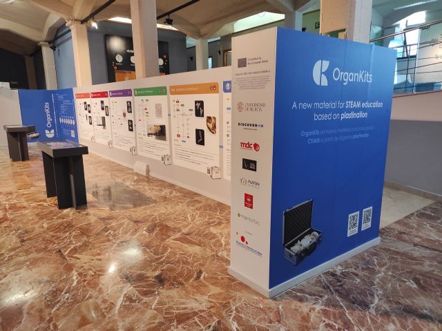 'OrganKits', un proyecto europeo liderado por la UMU, presenta sus resultados en una exposición interactiva en el Museo de las Ciencias y el Agua