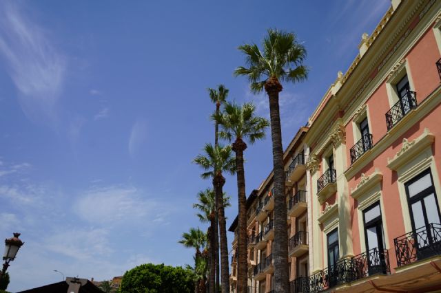 El Ayuntamiento de Murcia inicia la campa&ntilde;a anual de revisión y poda de las más de 18.000 palmeras del municipio