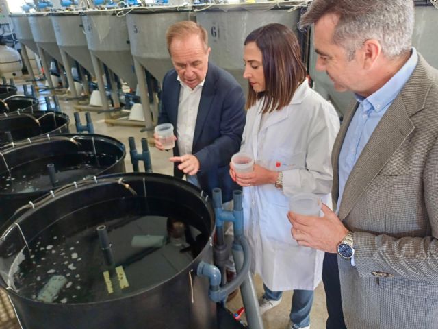 La Comunidad potencia la investigación en acuicultura de especies alternativas para el sector
