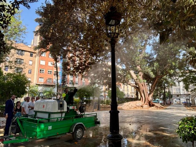 Los ficus del municipio comienzan a recibir riego extraordinario para garantizar su salud ante el aumento de las temperaturas