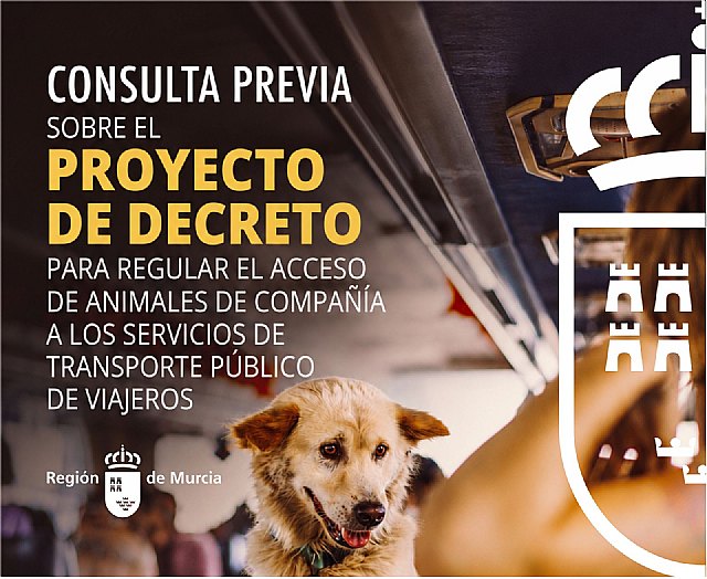 El Gobierno regional inicia la consulta pública para regular el acceso de los animales de compañía al transporte público