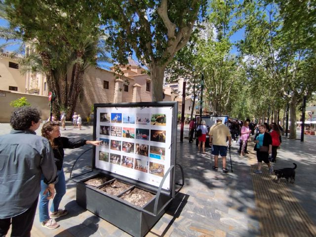 Alumnos de fotografía de la Escuela de Arte exponen en la Avenida Alfonso X una reinterpretación de conocidas obras pictóricas