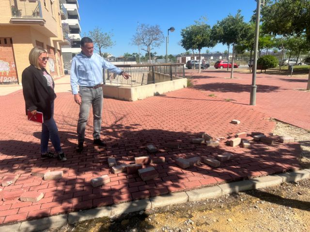 El PSOE consigue la aprobación de un plan de mejora para frenar el deterioro de los espacios verdes en Santiago y  Zaraiche