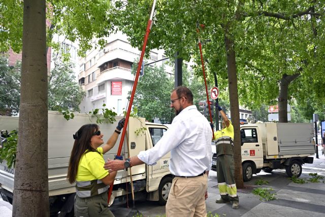 Más de 3.000 árboles del municipio son objeto de refaldeo para garantizar la seguridad de viandantes y circulación de vehículos