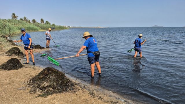El servicio de retirada de biomasa del Mar Menor, premiado por los vecinos de Los Nietos e Islas Menores