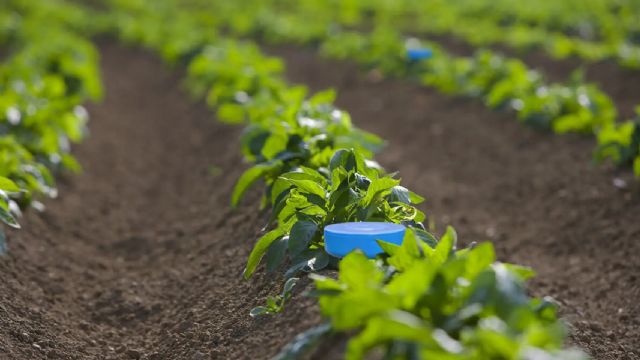 La Región convierte la innovación en su principal respuesta al desafío hídrico