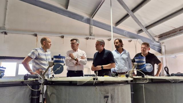 El IMIDA impulsa un nuevo pienso para el mújol de acuicultura con restos del grano de la fabricación de cerveza