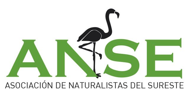 ANSE promoverá la protección de los insectos polinizadores frente a los riesgos que supone el cambio climático para estas especies