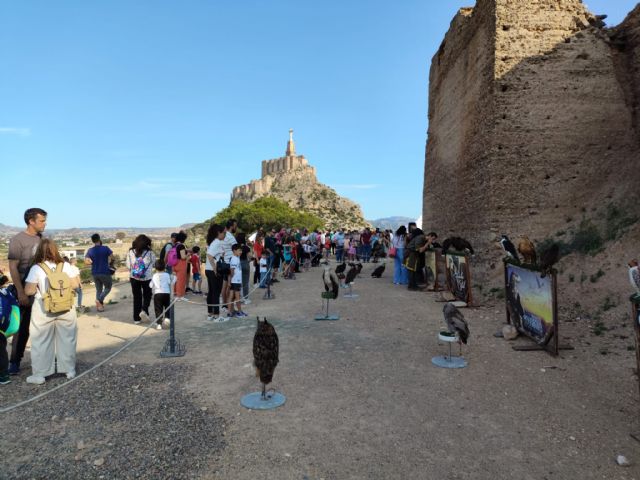 Medio millar de personas han disfrutado de las visitas teatralizadas nocturnas en el Palacio Ibn Mardanís por el Día Internacional de los Museos