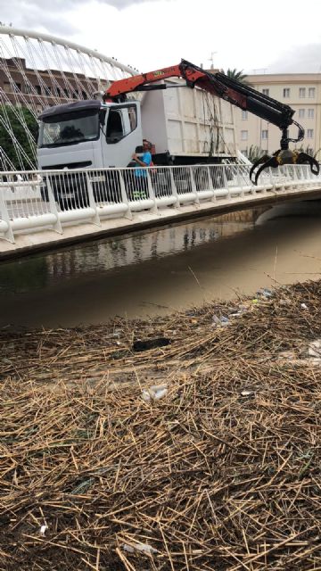 Los más de mil metros cúbicos de cañas extraídos del río para evitar la inundación de la ciudad servirán como compost orgánico para los jardines