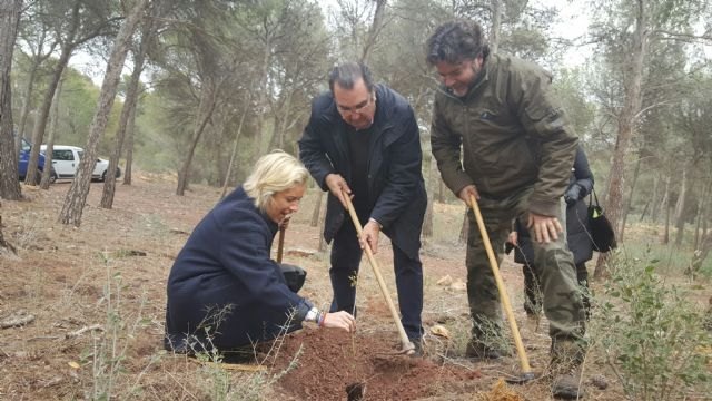 El proyecto de Medio Ambiente ´Mi empresa ha plantado un bosque´ recibe la aportación de la Agrupación Sardinera de Murcia
