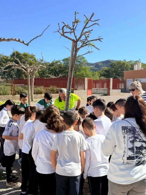 El CEIP Francisco Noguera se suma al Plan Foresta con la plantación de nuevo arbolado en el colegio