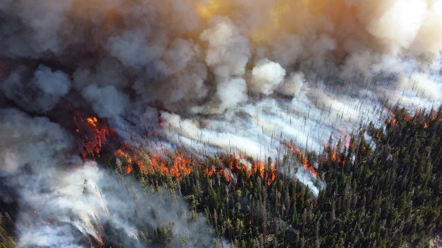 La UMU participa en el desarrollo de un sistema global de predicción estacional de riesgo de incendios basado en su relación con variables climáticas
