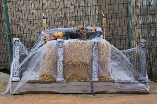 Terra Natura Murcia celebra Halloween con cuatro jornadas de actividades y experiencias nocturnas