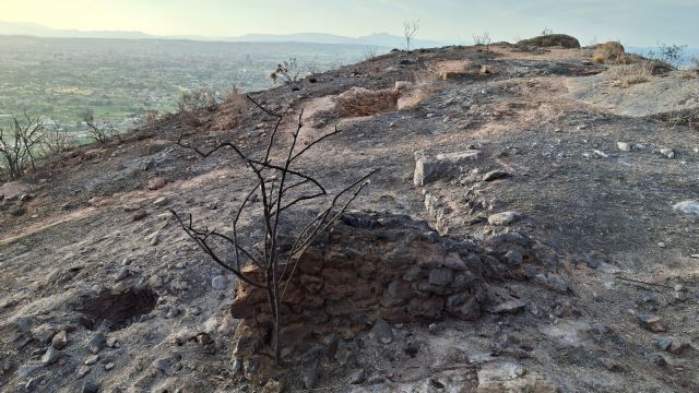 La Fiscalía abre diligencias de investigación tras la denuncia de Huermur por el incendio de Los Garres