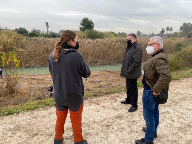 Alumnos del IES El Carmen recuperan el bosque de ribera en el río Segura a su paso por Rincón de Seca