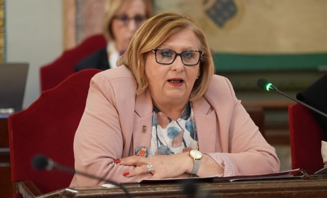 El PSOE propone la creación de una red de parques infantiles inclusivos en Murcia