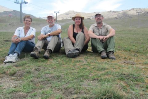 Ceratodon amazonum, una especie nueva de musgo que destaca por la ausencia de machos