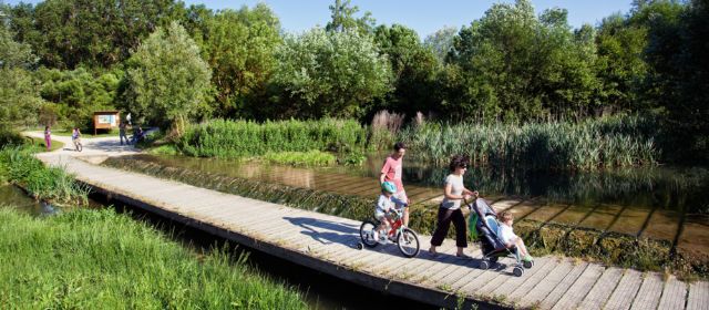 El ayuntamiento fomentará la movilidad peatonal en el municipio tras el acuerdo del pleno