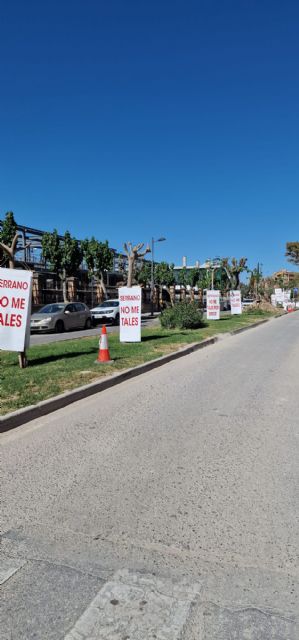 Movilización vecinal para salvar las moreras de la calle Industria