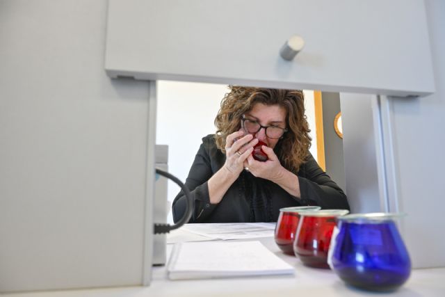 Murcia Oleum elige a Olimendros Coupage, VR Picual y Guazatales ecológico como los mejores AOVEs murcianos en su primera edición