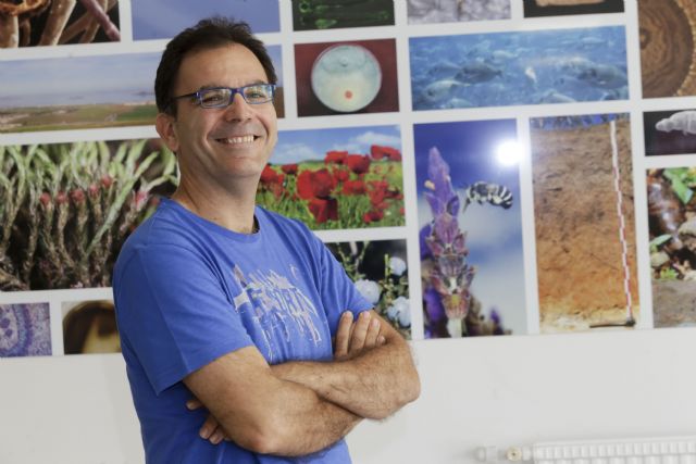 Investigadores de la UMU y el IMIB demuestran que los peces son capaces de oler los virus