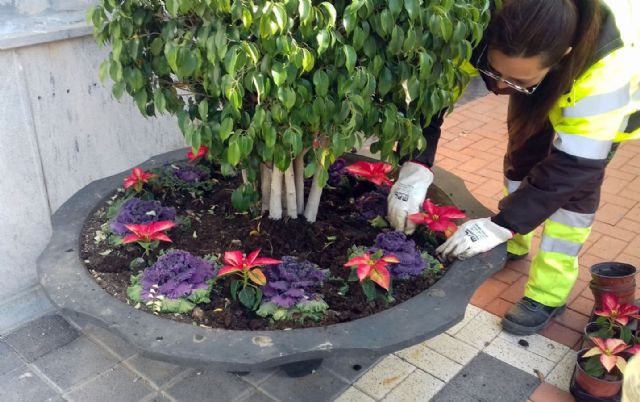 Los jardines de pedanías se llenan de colores en Navidad con más de 9.000 flores