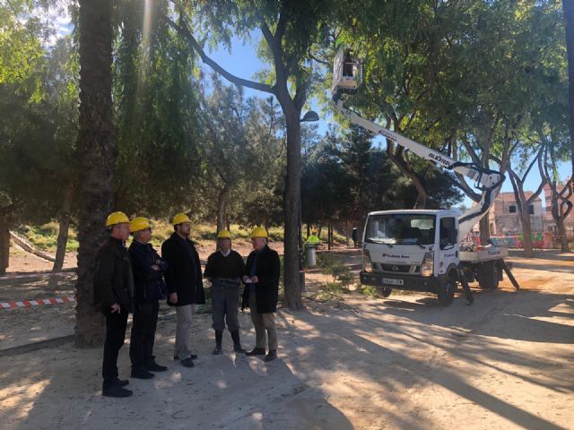 Parques y Jardines revisa y poda las más de 6.000 tipuanas de gran altura que hay en el municipio