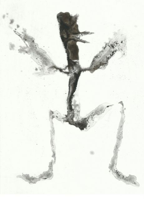 La Galla Ciencia lleva la poesía negra a Murcia