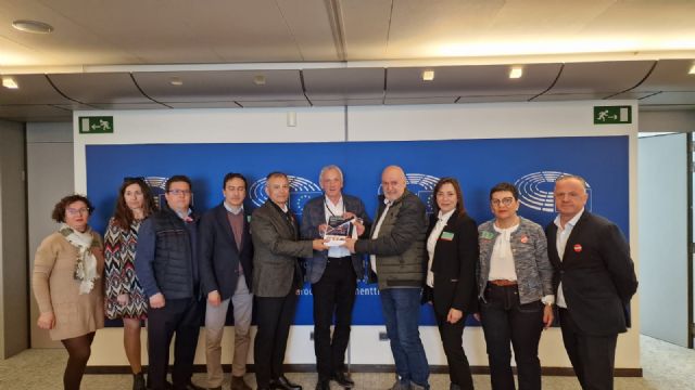 Las plataformas llevan a Bruselas su petición de suspender las obras y abrir una consulta vecinal sobre el Plan de Movilidad