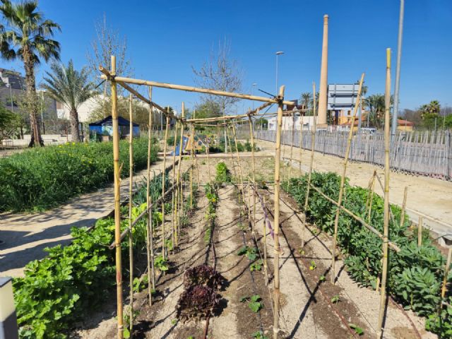 Cerca de un centenar de usuarios de los Huertos de Ocio se forman en recolección de semillas, conservación y siembra