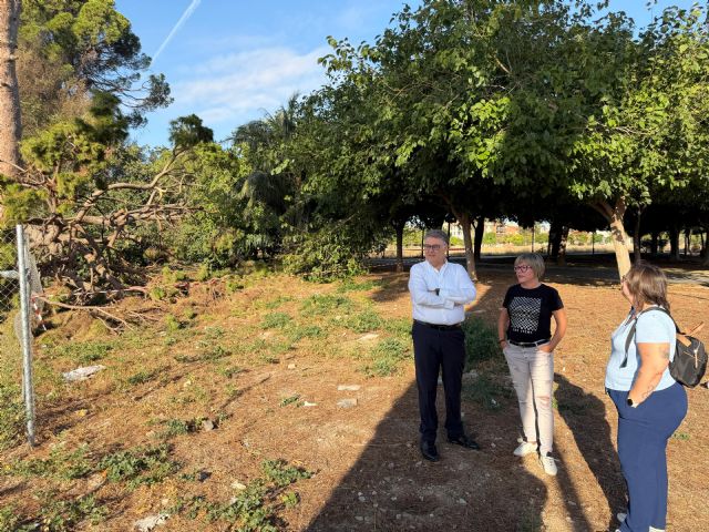 El PSOE plantea medidas para proteger los pinos centenarios de Churra y conservar su entorno