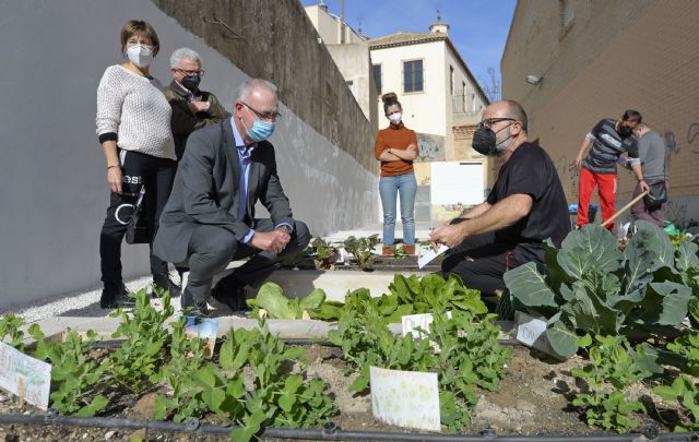 Más de 7.000 escolares de 47 colegios del municipio se implican en el cuidado de los huertos escolares