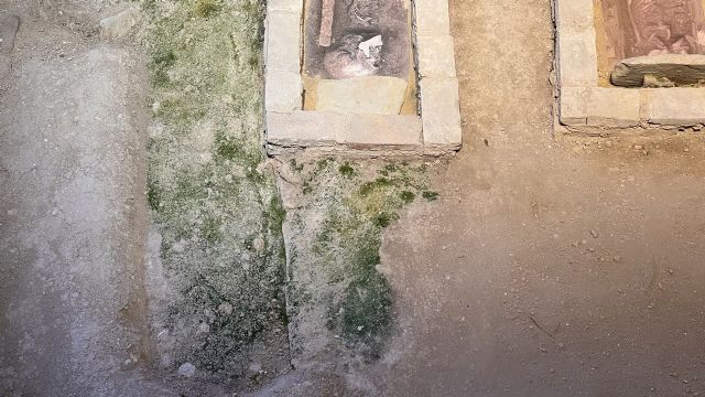 Huermur denuncia que las humedades y el verdín se apoderan del centro de visitantes de la muralla de Santa Eulalia