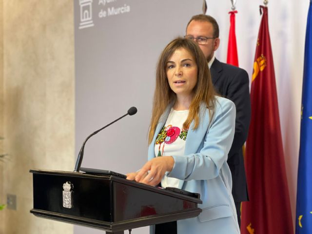 El Pleno aprueba la suspensión inmediata de las obras de movilidad