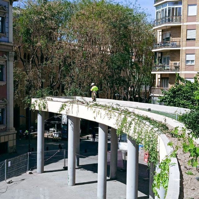 Finalizan los trabajos de ajardinamiento de la pérgola de la Plaza de la Universidad